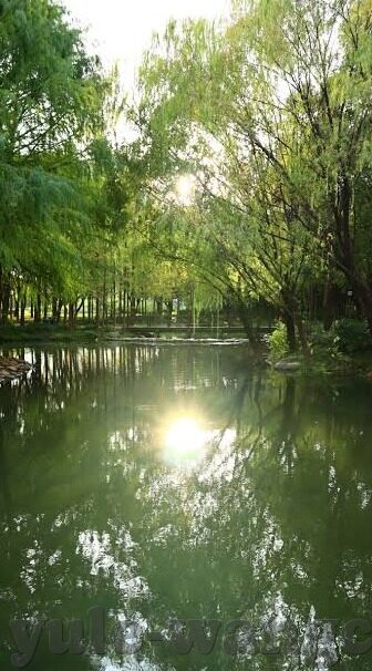 湖北足球比分-湖北足球，从绿茵烽火到比分背后的热血与梦想